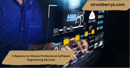 5 Reasons to Choose Professional Software Engineering Services