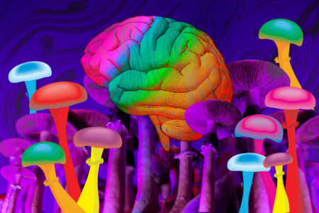 The Role of Psychedelics in Mental Health Treatments