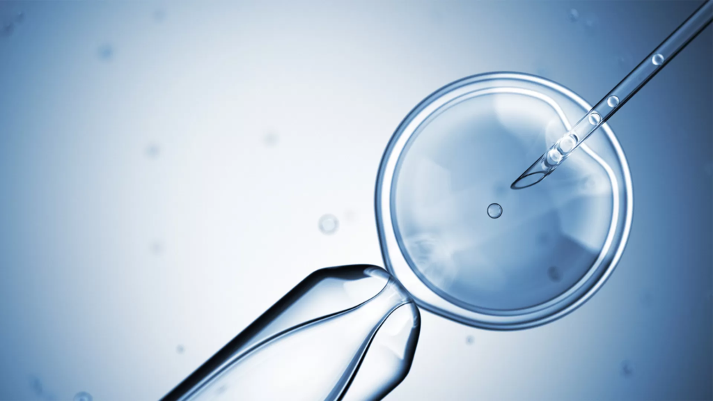 Egg Freezing vs. IVF